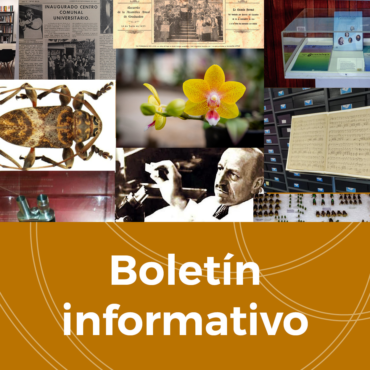 Boletín informativo